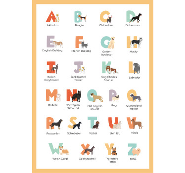 Hunde-Poster hunderassen Alphabet - TenStickers