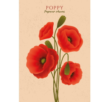 Poster Mohnblumen schlicht - TenStickers