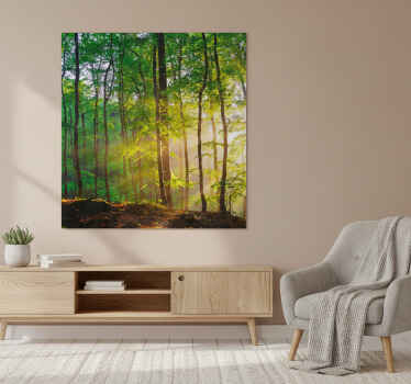 Poster árboles luz natural en el bosque - TenVinilo