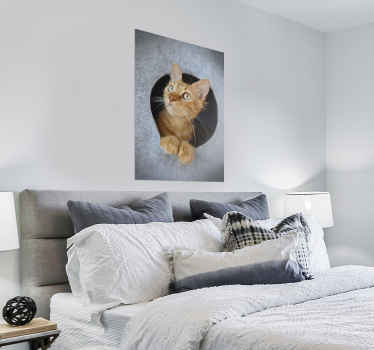 Peeking cat poster print design - TenStickers