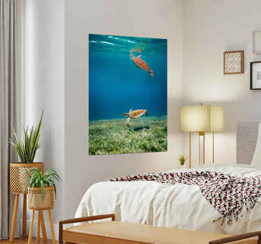 Poster schildpadden op avontuur - TenStickers