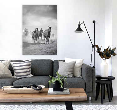 Posters zwart en wit paarden - TenStickers