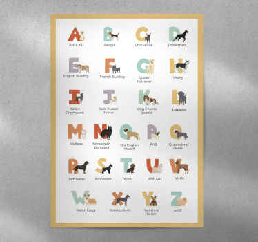 Hunde-Poster hunderassen Alphabet - TenStickers