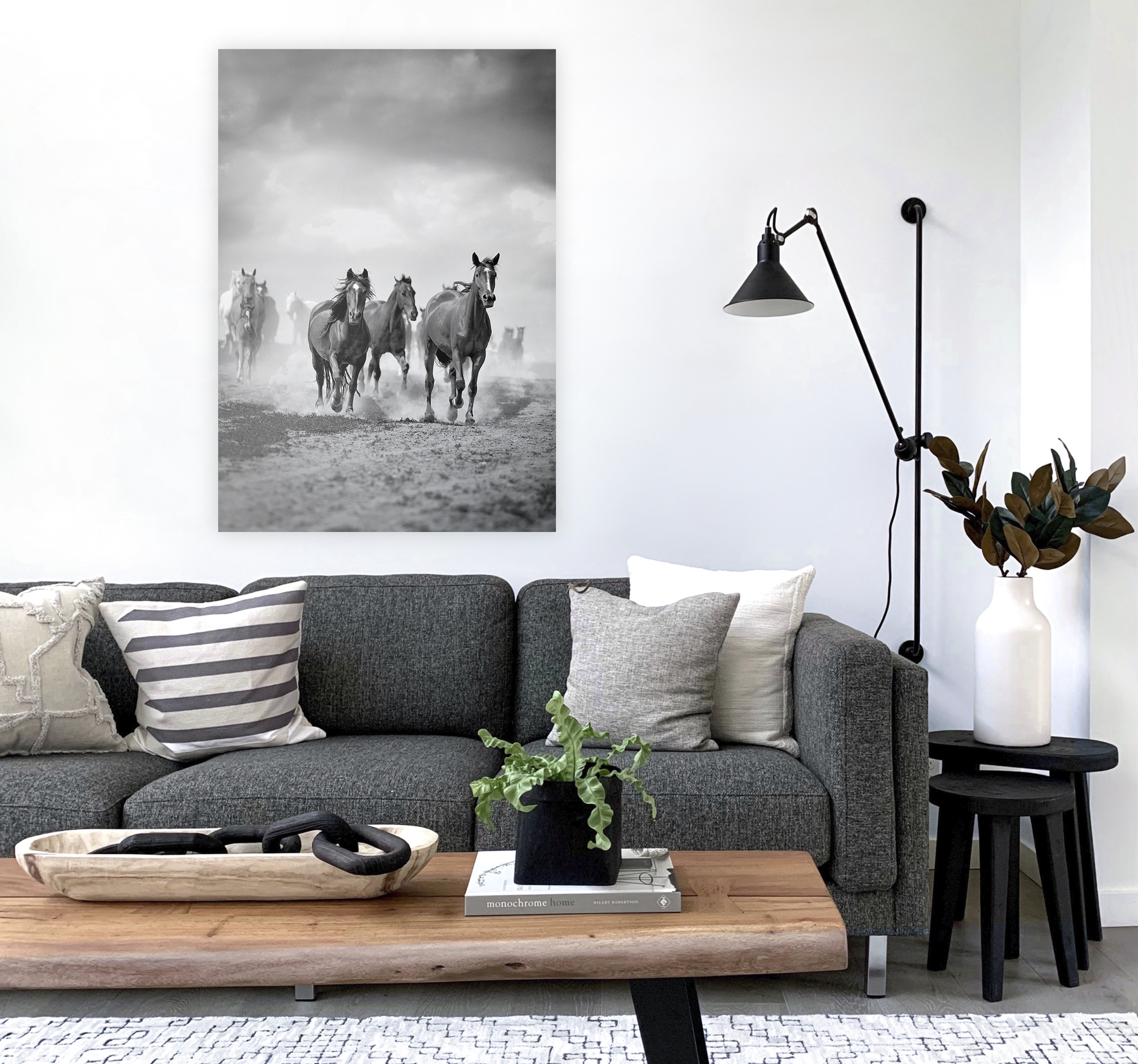 Zwart en wit paarden posters