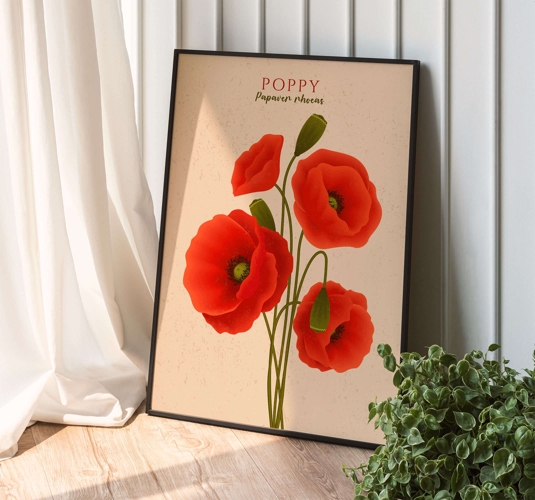 Klaprozen poster bloem