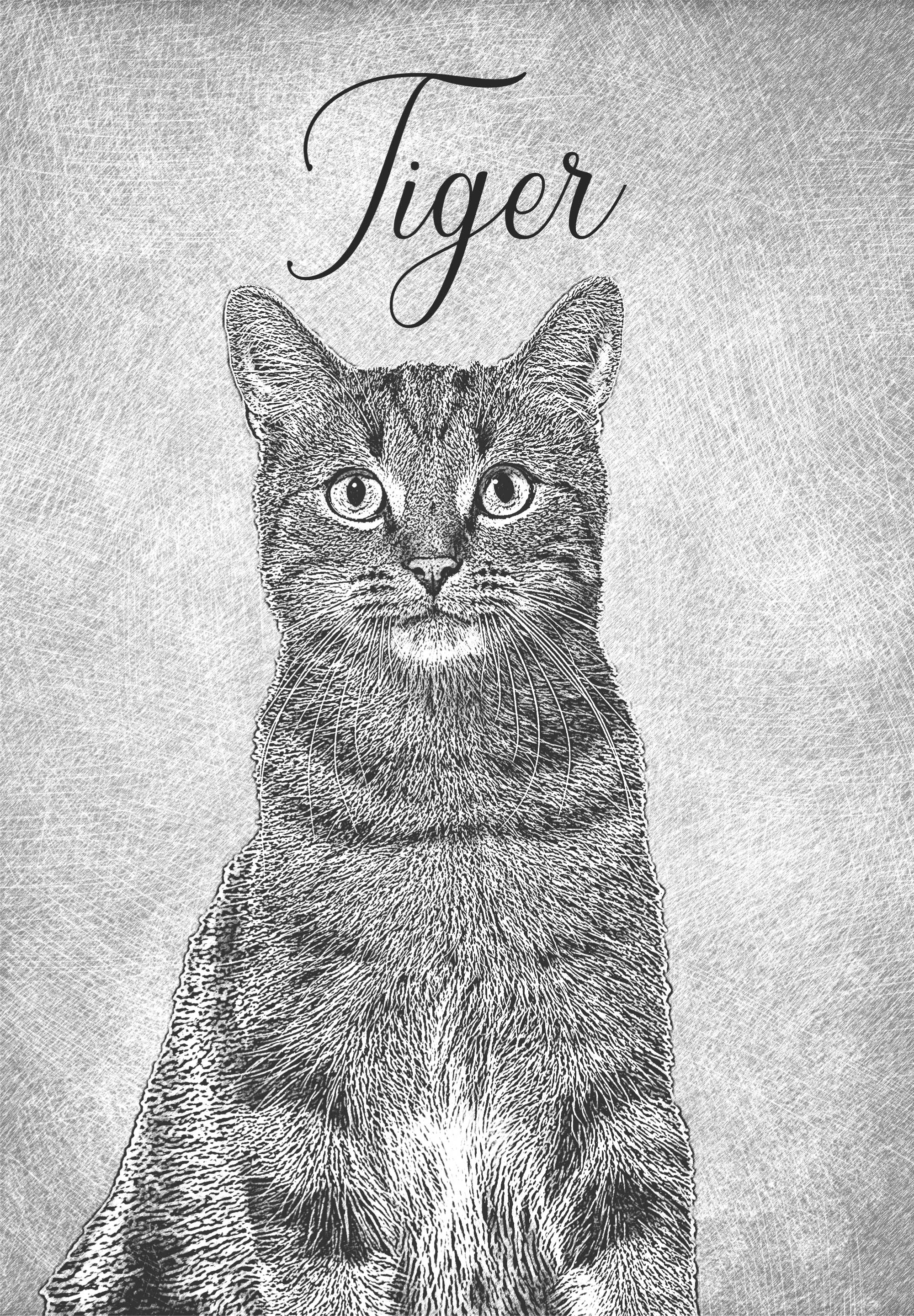 Poster cu alte animale desen alb-negru personalizat - TenStickers