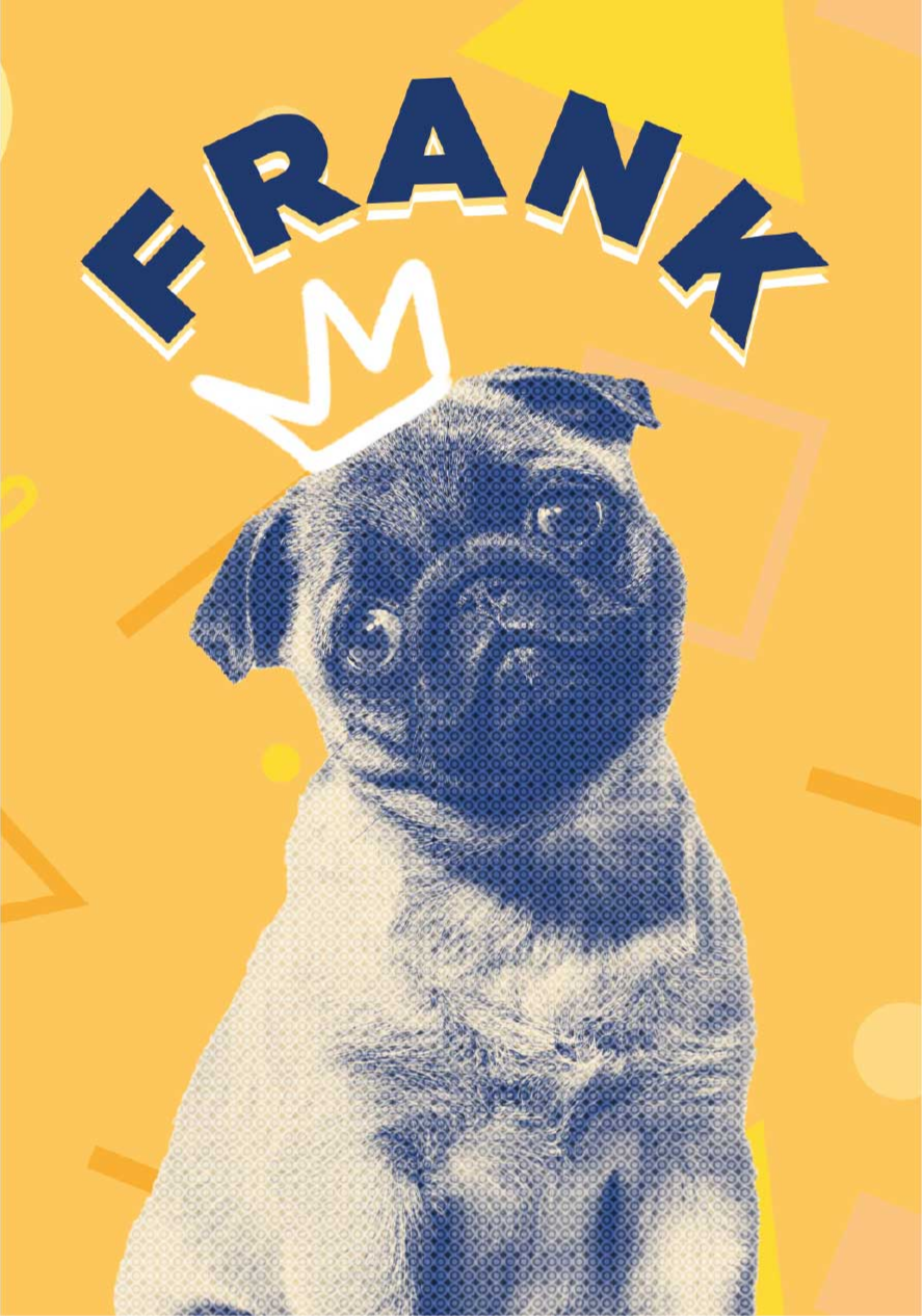 Poster sonstige Tiere benutzerdefinierte pop-art - TenStickers