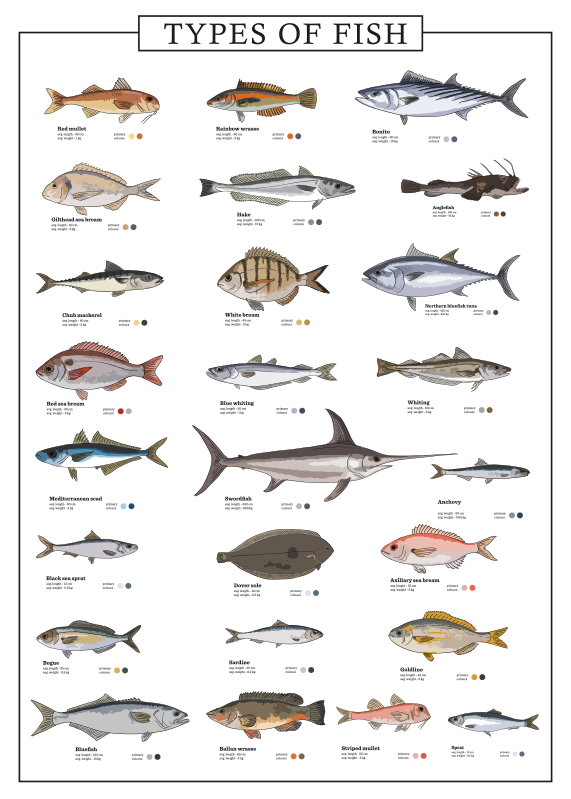 Fish - Lista de Peixes em Inglês - Inglês Gourmet