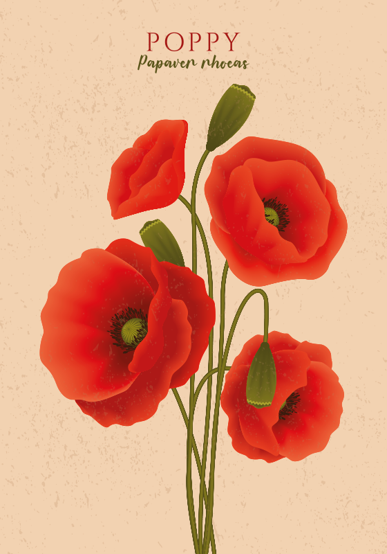 Poppy Flowers Decor Poster