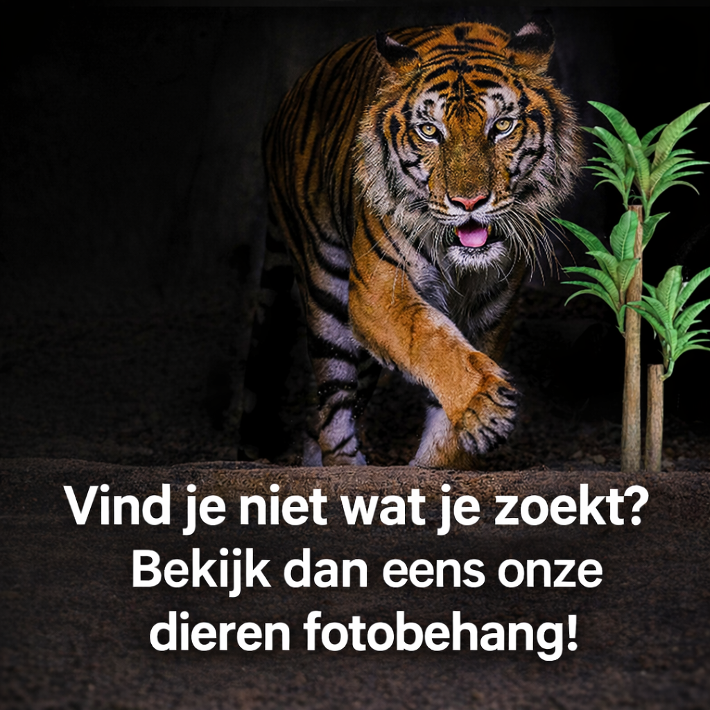 Fotomurals animals Holanda