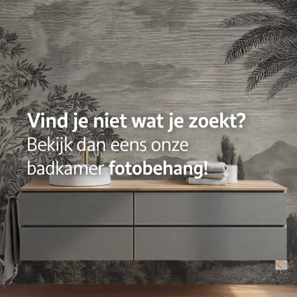 Fotomurals bany Holanda