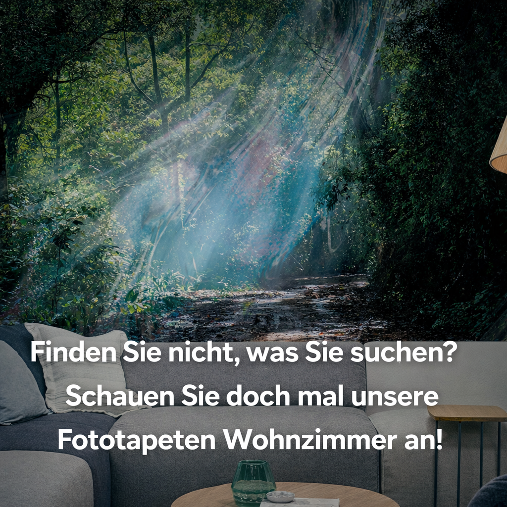 Fotomurals saló Alemanya