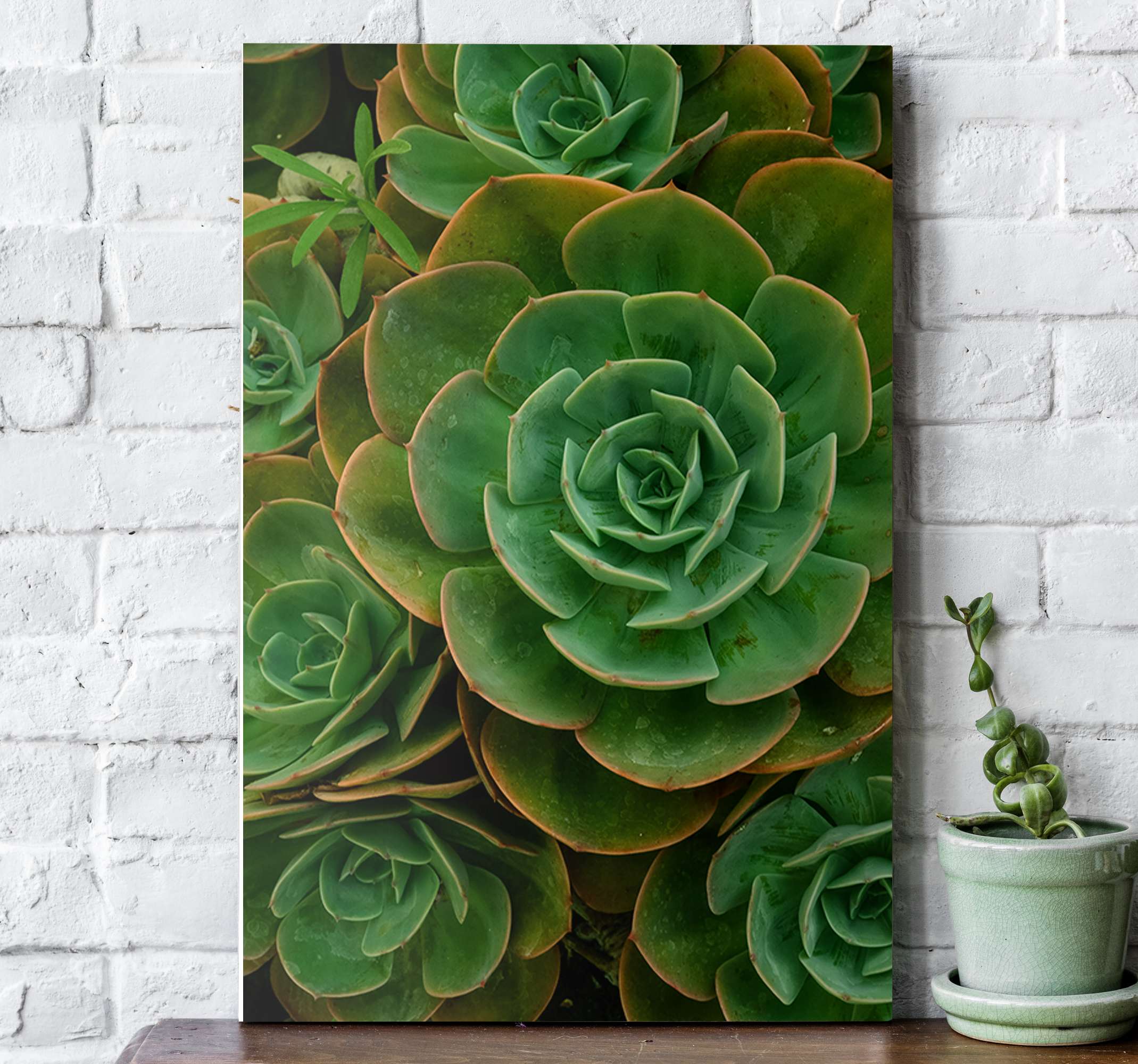 Quadro decorativo desenho cactos verde