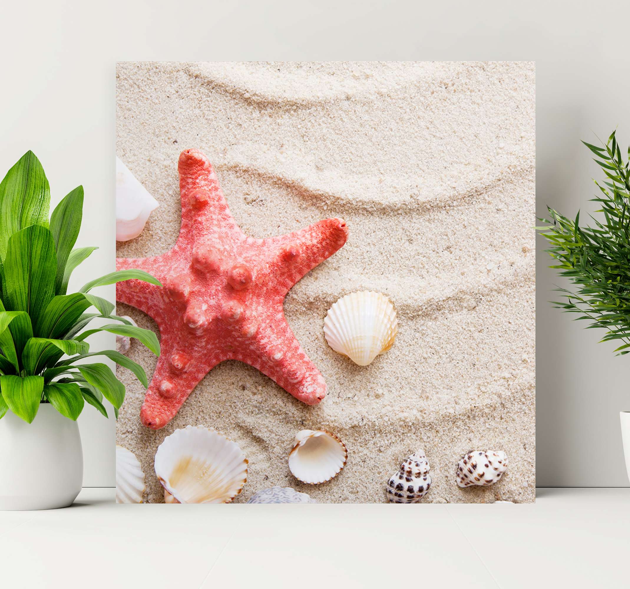 Sea Shells and Starfish – Canvas Art and Wall Art Prints from