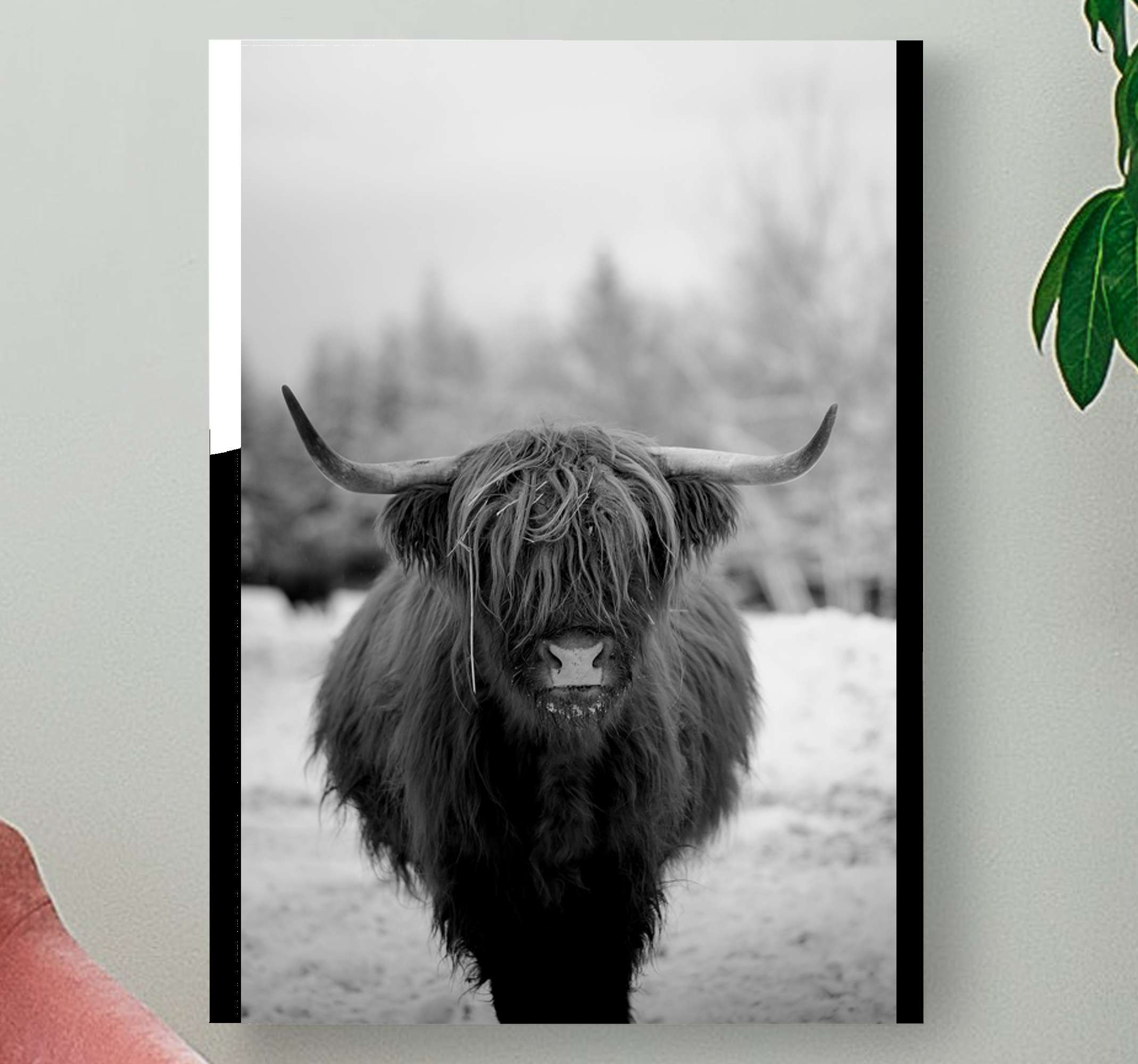 Funny Family Quote Highland Cow Colourful Animal wall art printed framed canvas