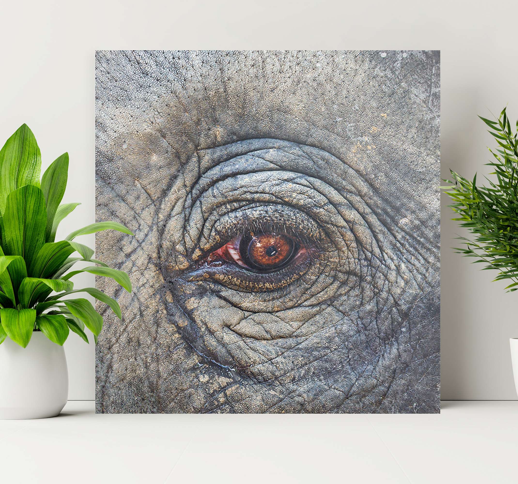 Chambon Elephant Close-up Trunk Canvas Wall Art Print 