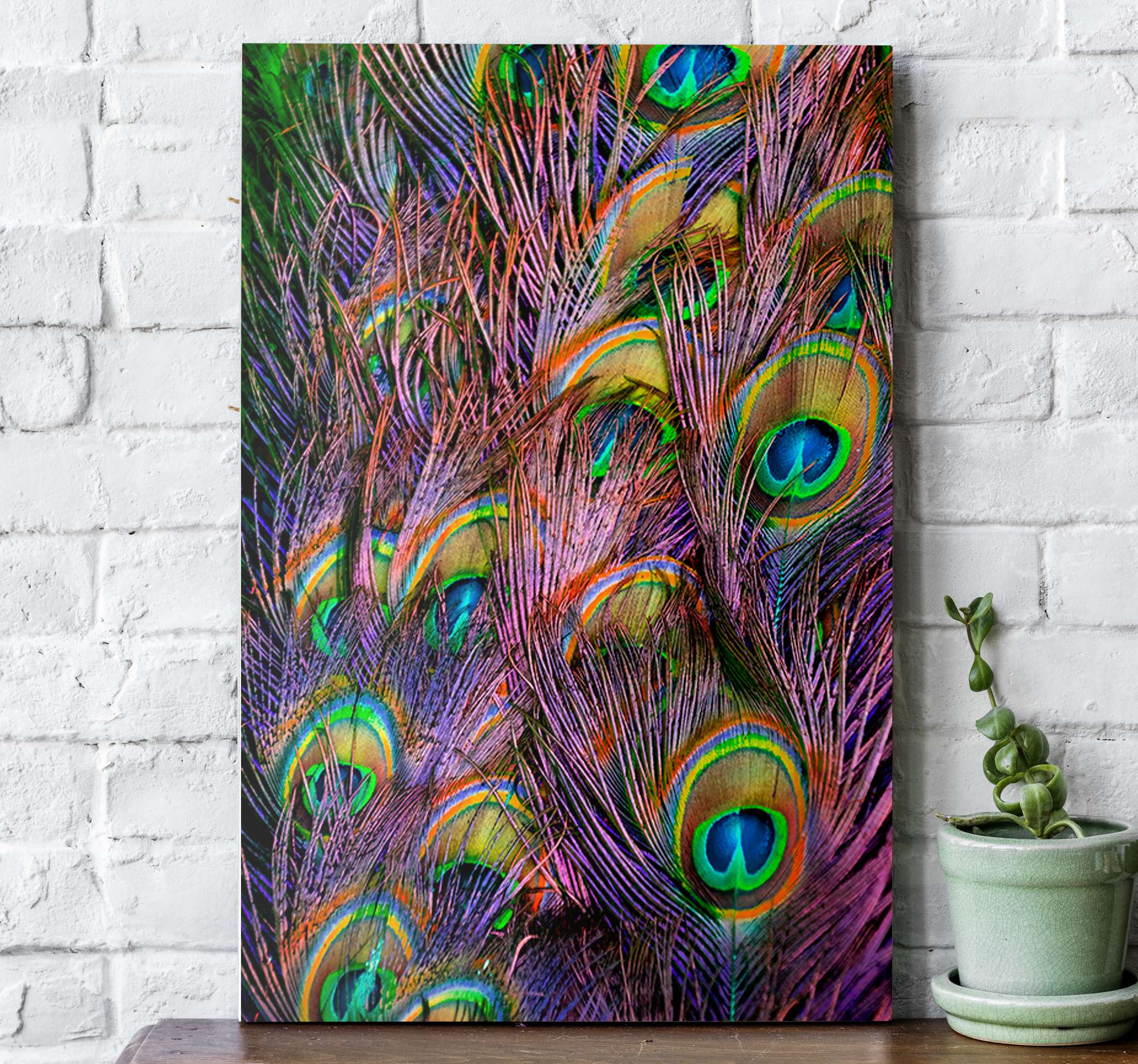 Peacock feather bird canvas wall art - TenStickers