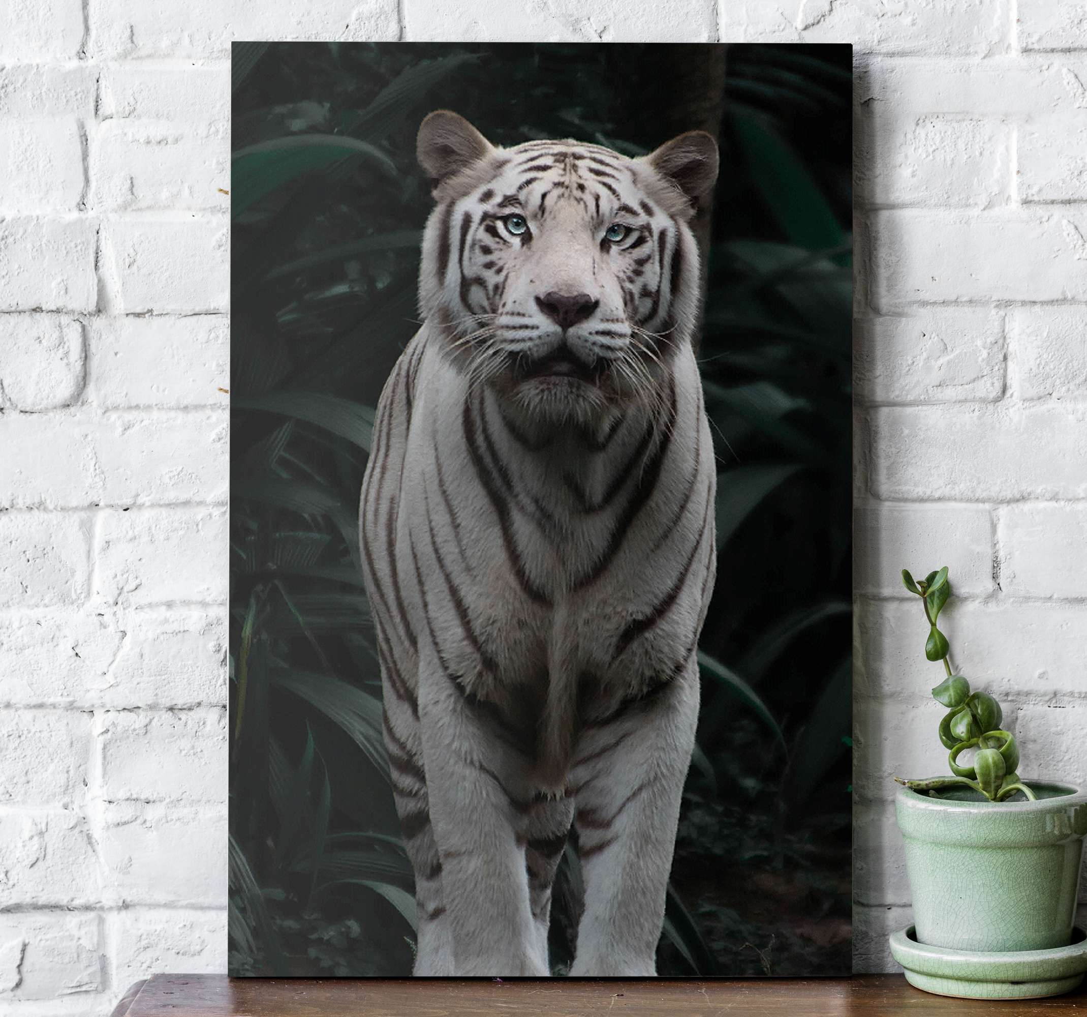 Leinwandbild Kunst-Druck 100x50 Bilder Tiere Weißer Tiger 