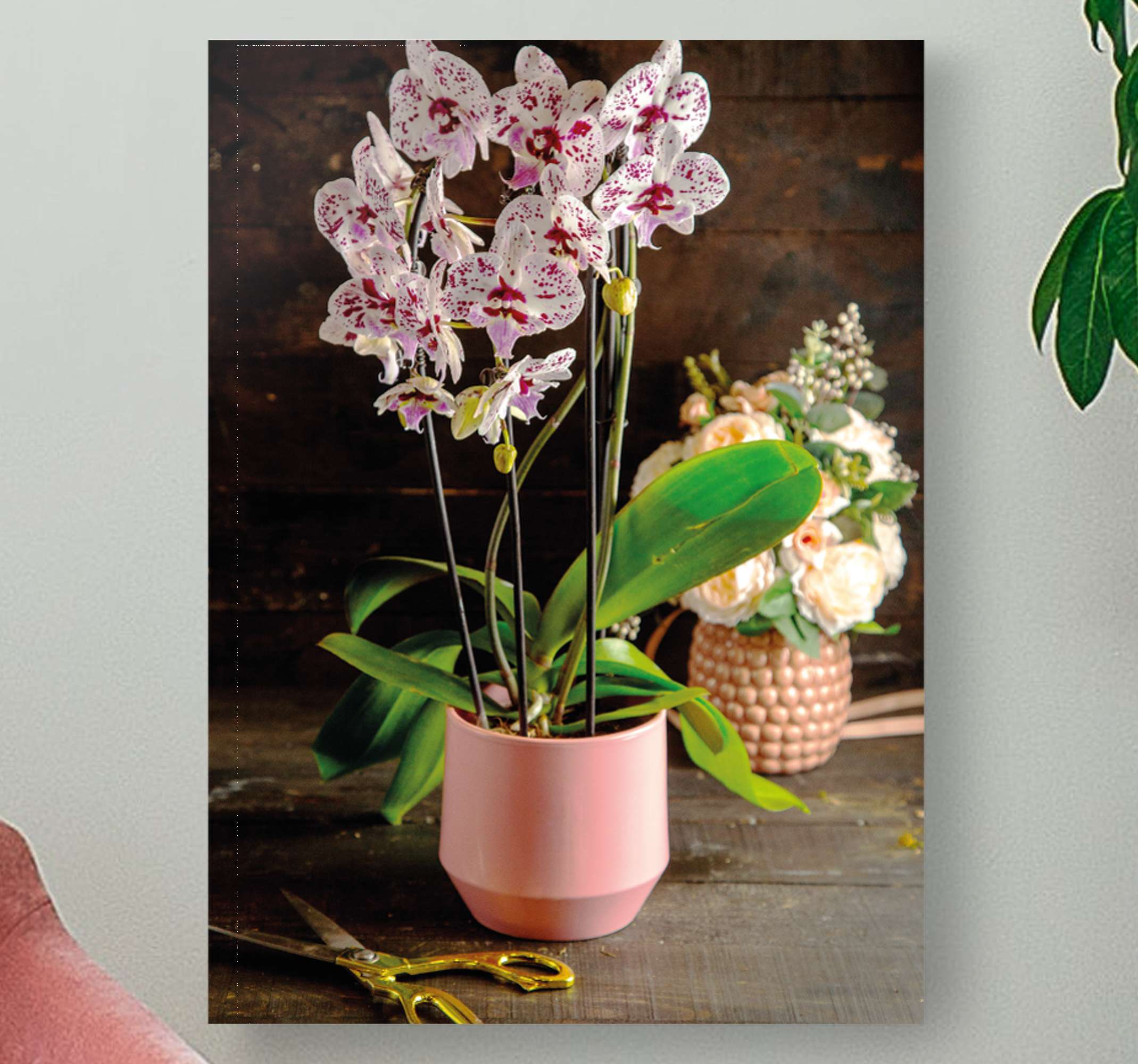 ORCHID FLOWER Wall Decal Deco Art Sticker Mural Flower Pot Floral Garden Decor ORCHID FLOWER Wall Decal Deco Art Sticker Mural Flower Pot Floral Garden Decor