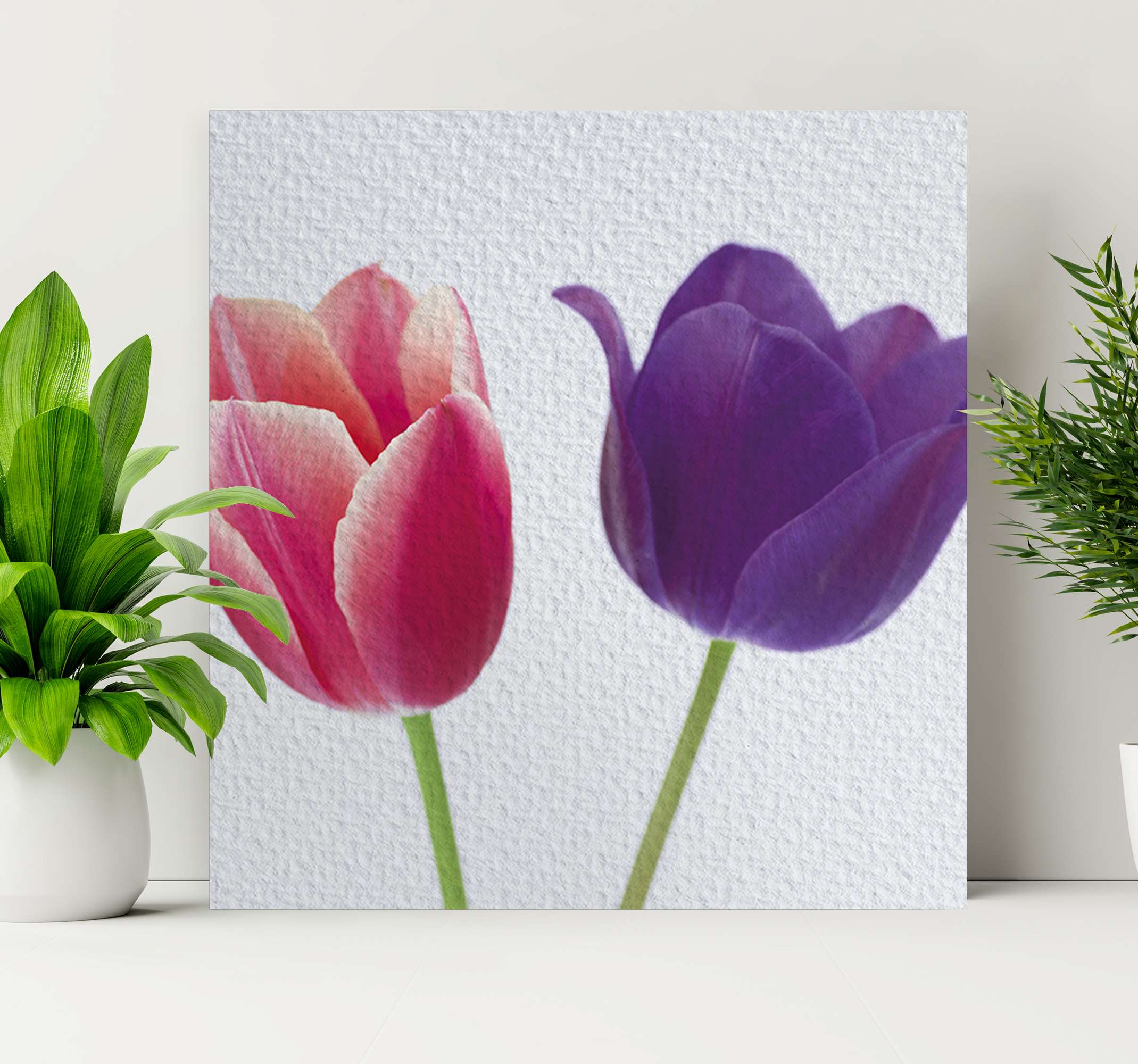 Cuadro flores Tulipanes morados y rosas - TenVinilo