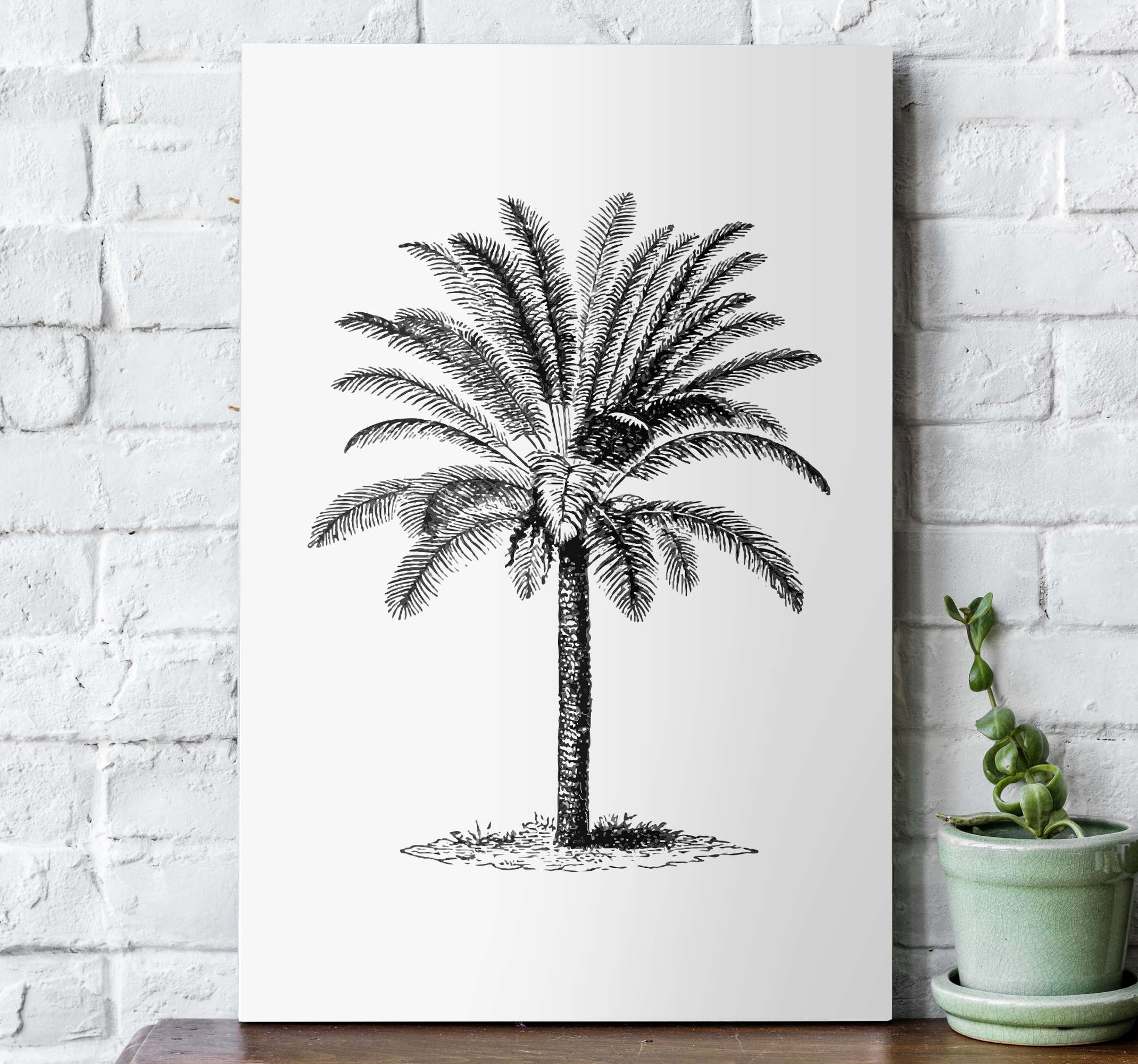 32795 Palm Tree Coconut Stock Photos HighRes Pictures and Images   Getty Images