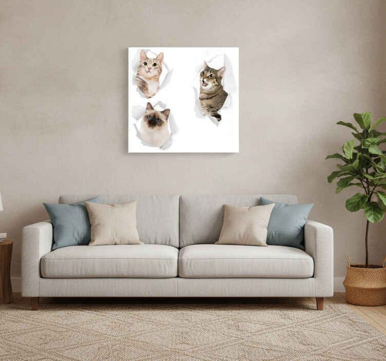 Wandbilder katzen kätzchen trampantojo - TenStickers