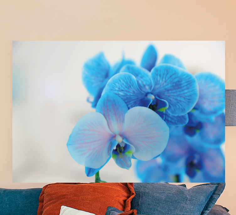 Quadro Decorativo de flores Flor de orquidea azul - TenStickers