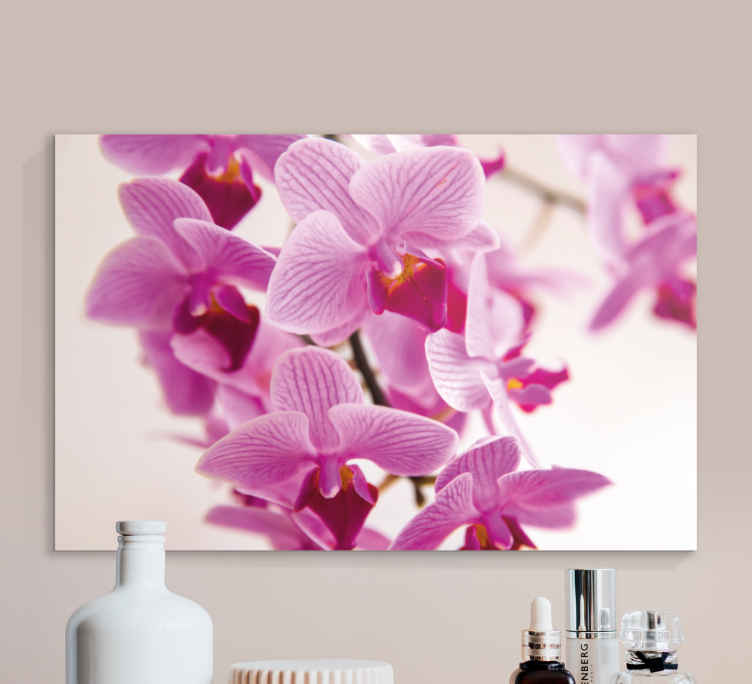 Cuadro de flores Flor de orquídea brillante - TenVinilo