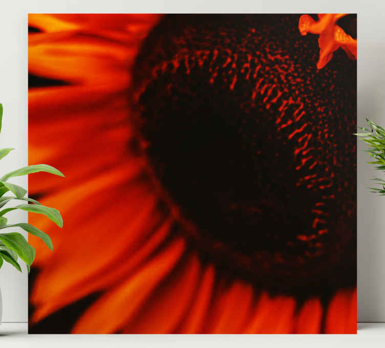 Tableau fleurs Tournesol orange - TenStickers
