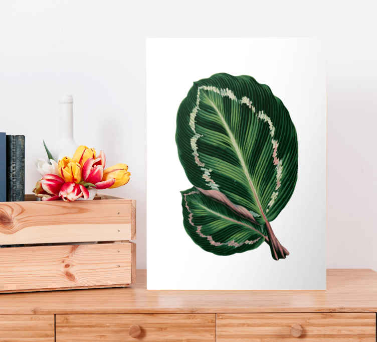 Tableau fleurs Feuilles de maranta - TenStickers