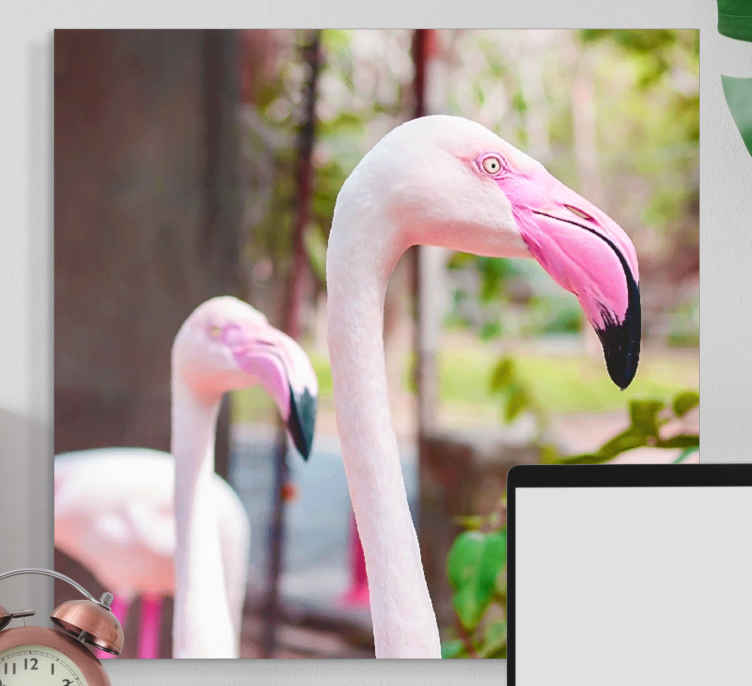 Tableau oiseaux flamants élégants ensemble - TenStickers