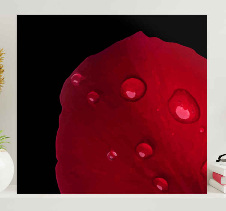 Quadro fiori Motivo a rosa rossa con gocce d'acqua