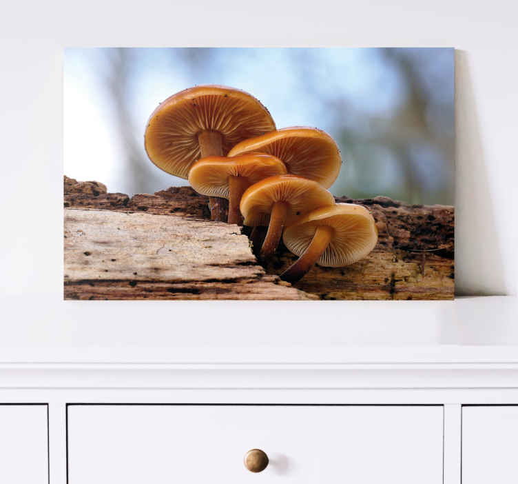 Dipinto arte Funghi selvatici buccia d'arancia