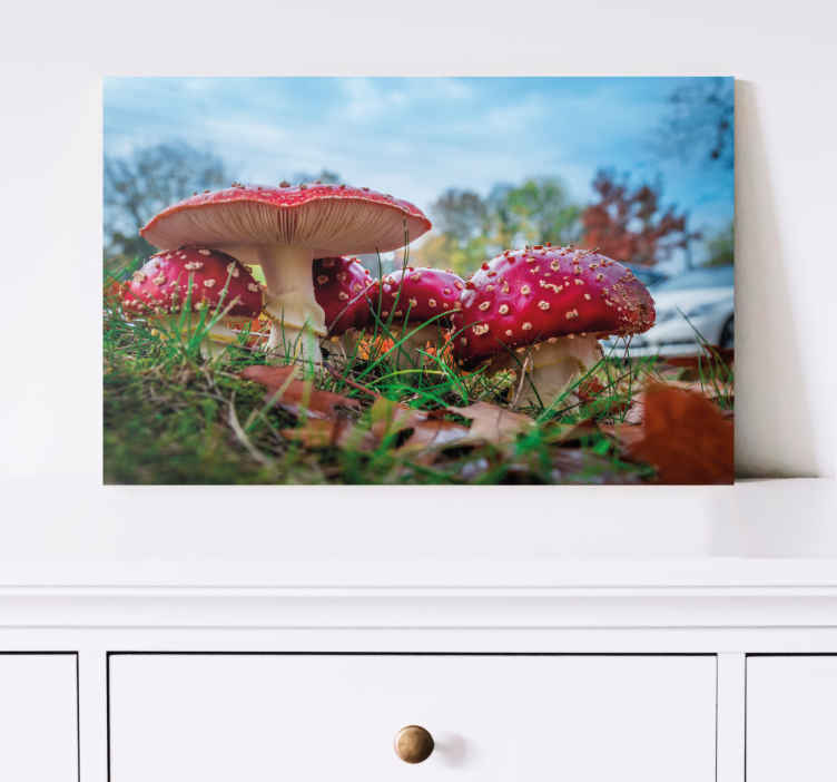 Cuadro de flores racimo de setas rojas - TenVinilo