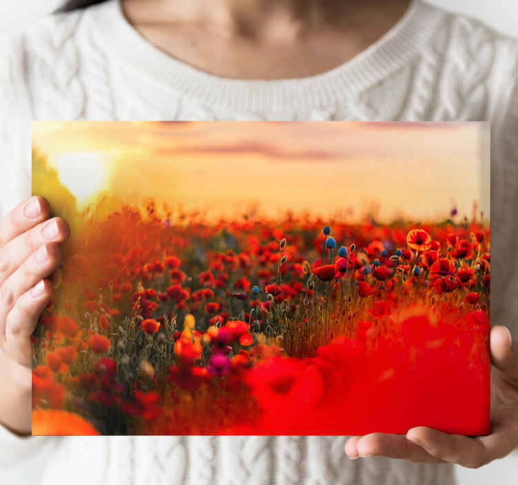 Färgglada fältfärger landskapcanvas tavla - Tenstickers