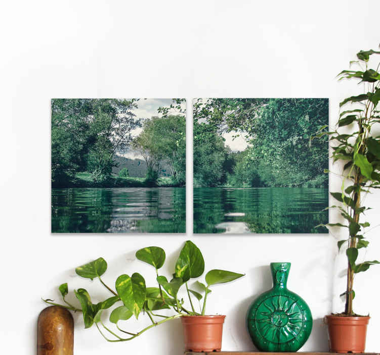 Quadro paesaggio Fotografia estetica di fiumi e foreste