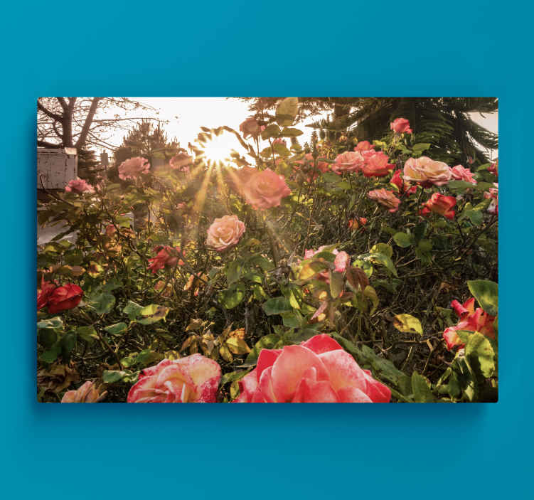 Cuadro de flores capullos de rosa radiantes - TenVinilo