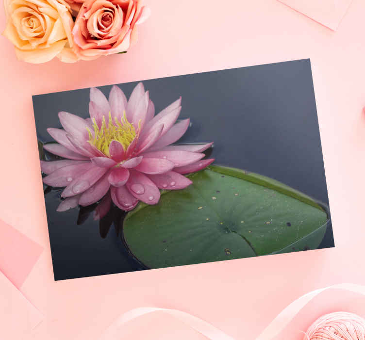 Cuadro de flores flor de lirio de agua - TenVinilo