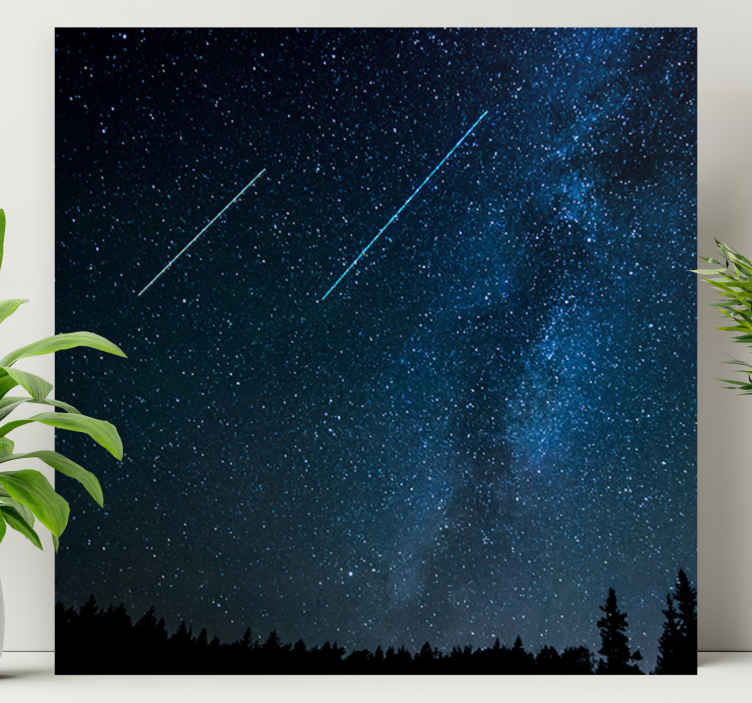 Quadro de paisage Bela paisagem estrela cadente - TenStickers