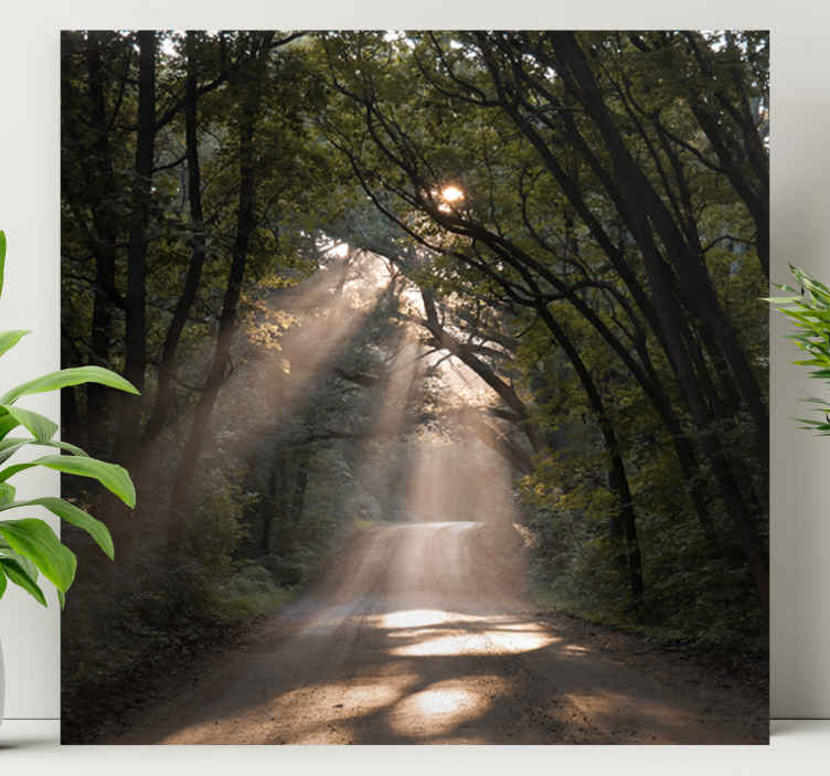 Cuadro paisajes sendero soleado en el bosque - TenVinilo