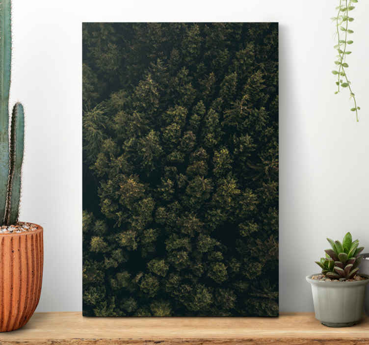 Cuadro árboles dosel frondoso del bosque - TenVinilo