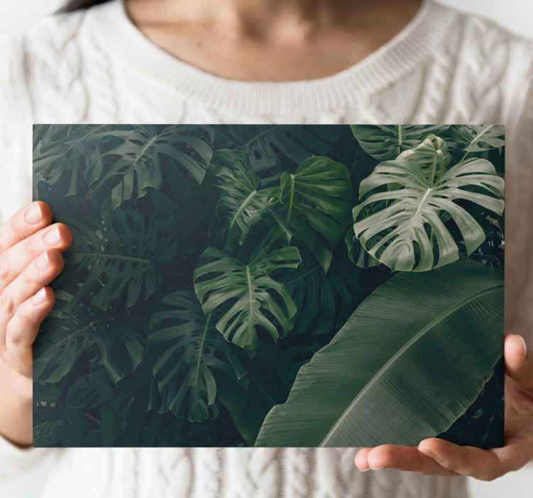 Cuadro paisajes Hermoso bosque de la selva verde - TenVinilo