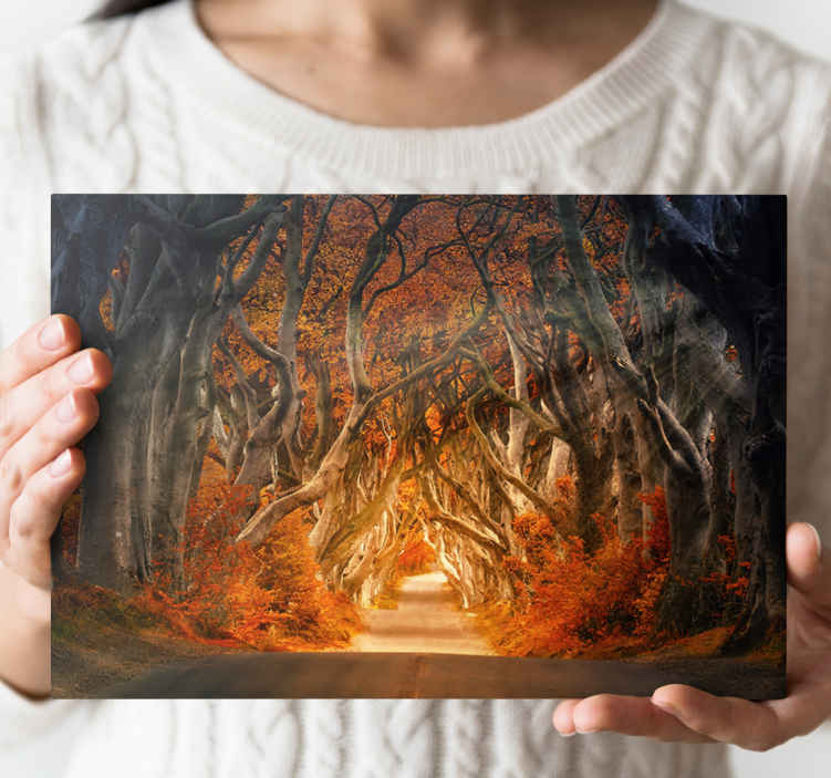 Cuadro paisajes sendero otoñal misterioso - TenVinilo