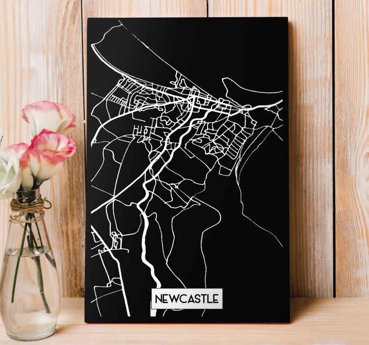 Newcastle Topographic Map city canvas prints - TenStickers