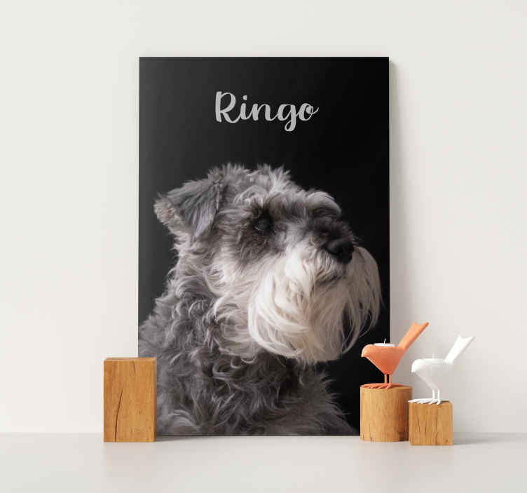 Cuadro de perro foto de schnauzer - personalizar