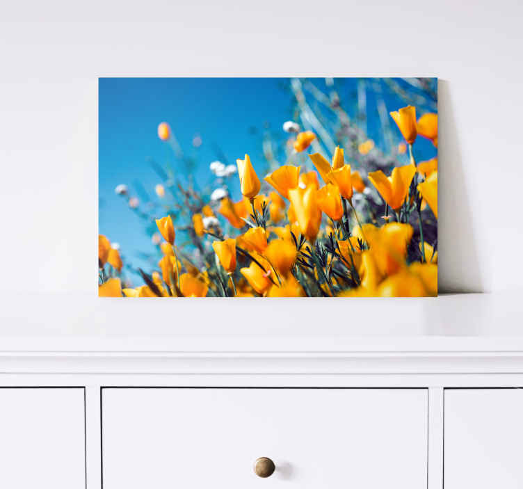 Tableau fleurs pavots de Californie - TenStickers
