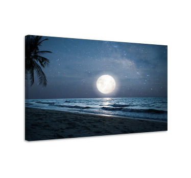 Cuadro azul luz de luna sobre el océano - TenVinilo