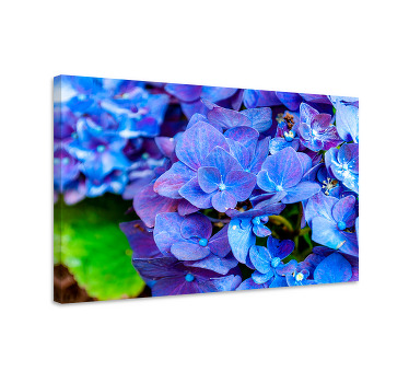 Cuadro azul flores de hortensia - TenVinilo