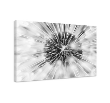 Cuadro gris diente de león elegante en blanco y negro - TenVinilo
