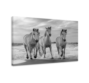 Paarden schilderij op canvas rennende paarden - TenStickers